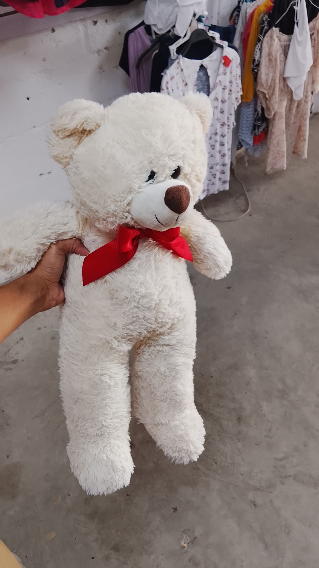 Peluche