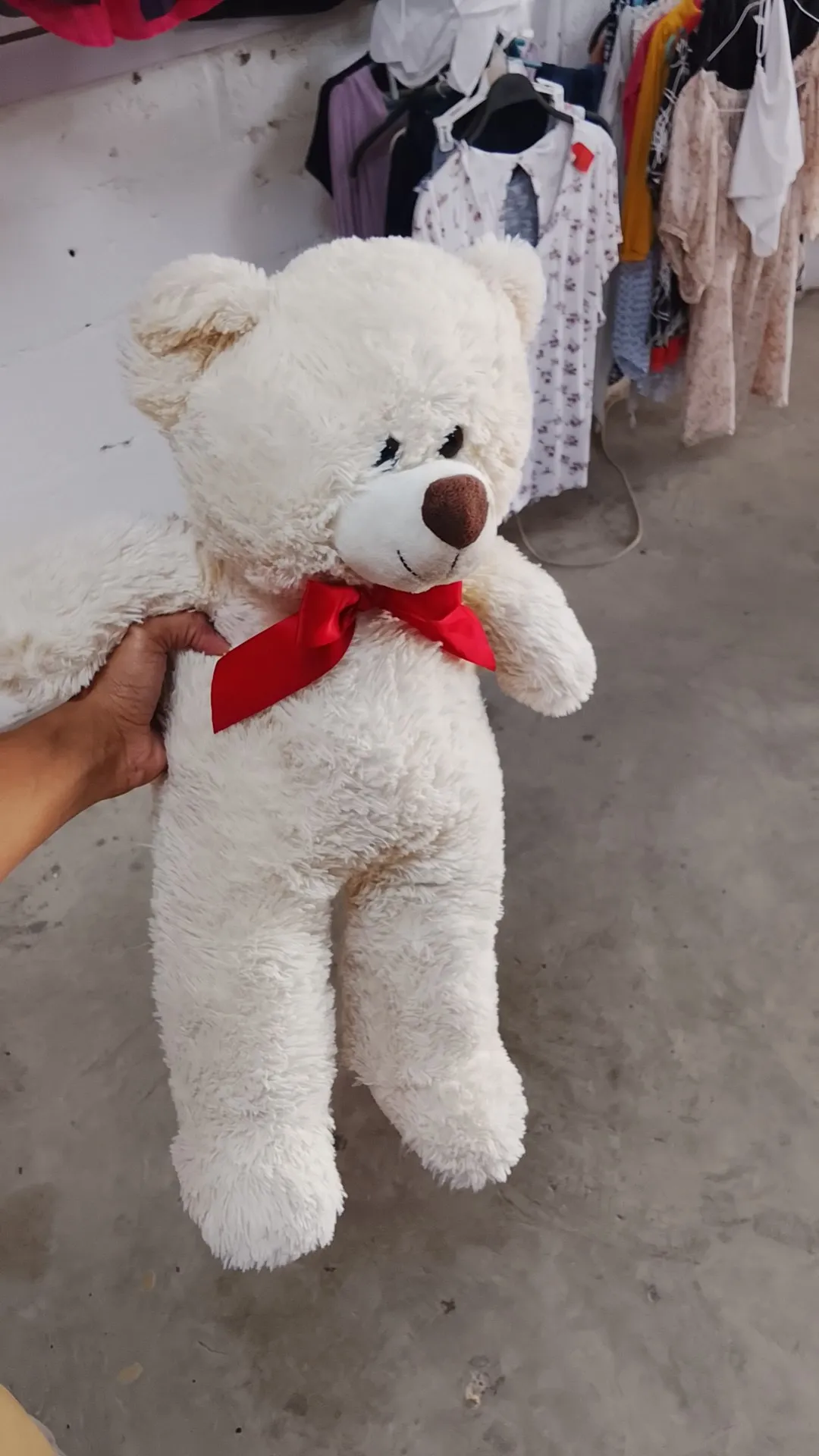 Peluche